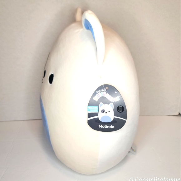 🖤 MOLINDA 🐶 White Bull Terrier Dog Roblox Select Series Original Squishmallow - Picture 6 of 8